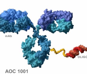 爱游戏体育 -?v??幨]B?碘!??覜?〣?'缊=蝙?的简单介绍