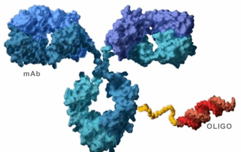 爱游戏体育 -?v??幨]B?碘!??覜?〣?'缊=蝙?的简单介绍